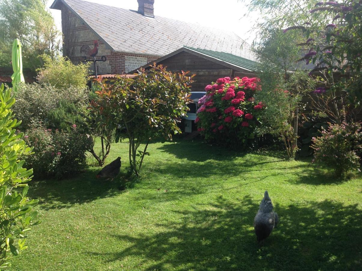 Le Jardin Des Poules Bed and Breakfast Thiétreville Eksteriør billede